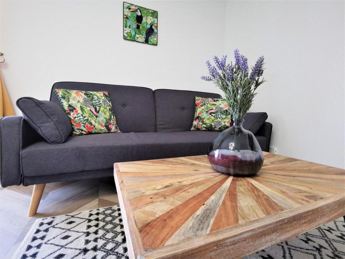 T2 Cosy ₪ Residence Securise ₪ Airbus ₪ Piscine Colomiers Zewnętrze zdjęcie